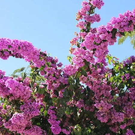 Prázdninový dům Le Sorelle A Puglian Paradise *
